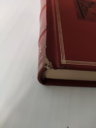 Los Lazarillos en la literatura