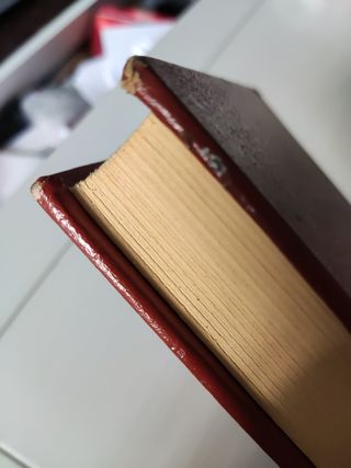 Los Lazarillos en la literatura