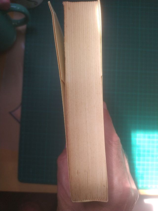 El Erasmismo en España