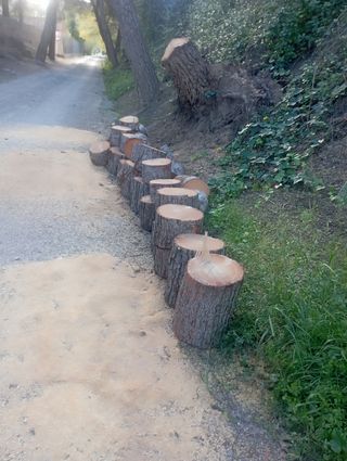 servicios jardineria  tala i poda