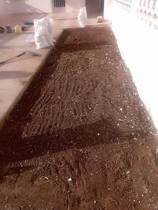 servicios jardineria  tala i poda