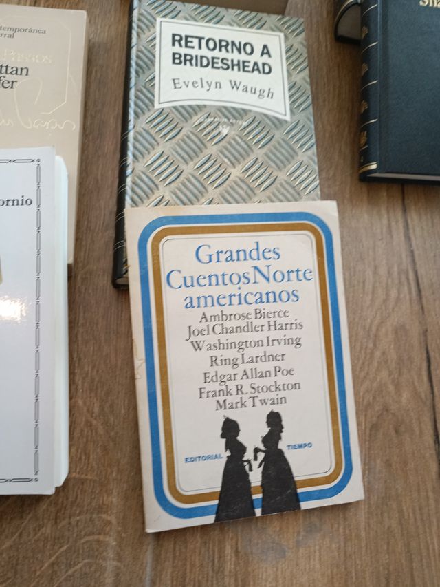 Libri di letteratura britannica e americana