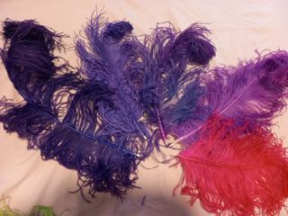 PLUMAS DISTINTOS COLORES Y TAMAÑOS