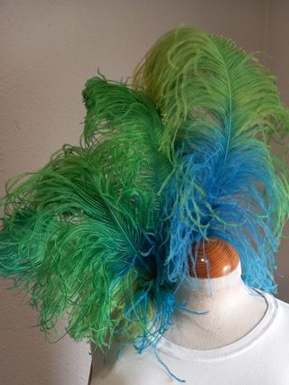 PLUMAS DISTINTOS COLORES Y TAMAÑOS