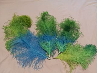 PLUMAS DISTINTOS COLORES Y TAMAÑOS