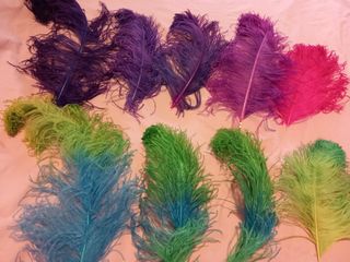 PLUMAS DISTINTOS COLORES Y TAMAÑOS