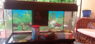 pecera acuario grande
