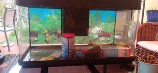 pecera acuario grande