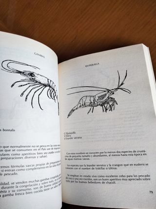 ✅ La Cocina Vasca de los Pescados y Mariscos 📚