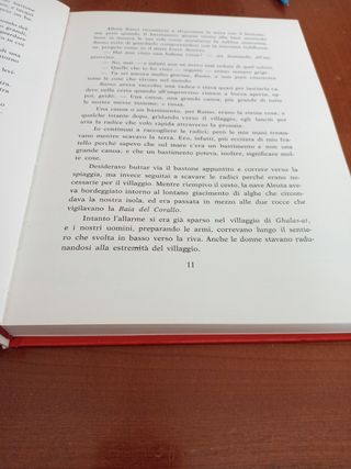 L'isola dei Delfini blu