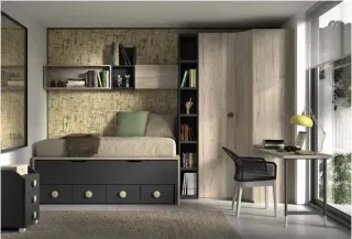 COMPOSICIÓN EVOLUTION F007