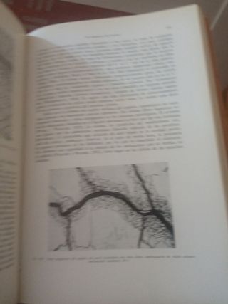 Histología y anatomía microscópica humana.W. Bargm