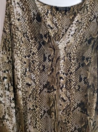 camisa serpiente