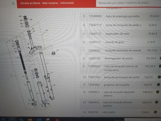 suspensión delanter triumph thruxton 900 efi