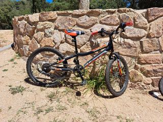 Bici niño Couler Magic 206
