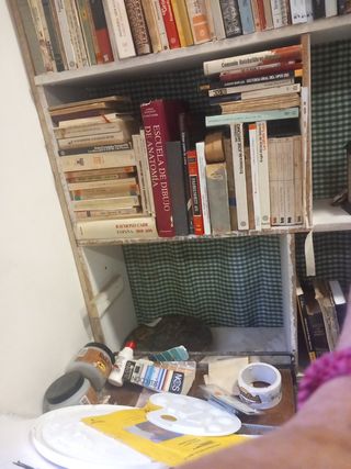 lote de 1500 libros antiguos