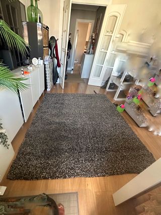 Alfombra pelo largo 2x3