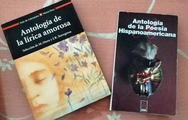 Libros de poesía ( dos unidades )
