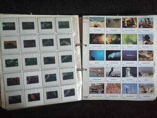 Mejores Diapositivas viajes Cousteau