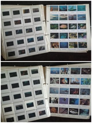 Mejores Diapositivas viajes Cousteau