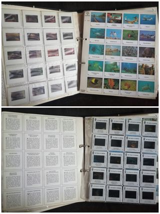 Mejores Diapositivas viajes Cousteau