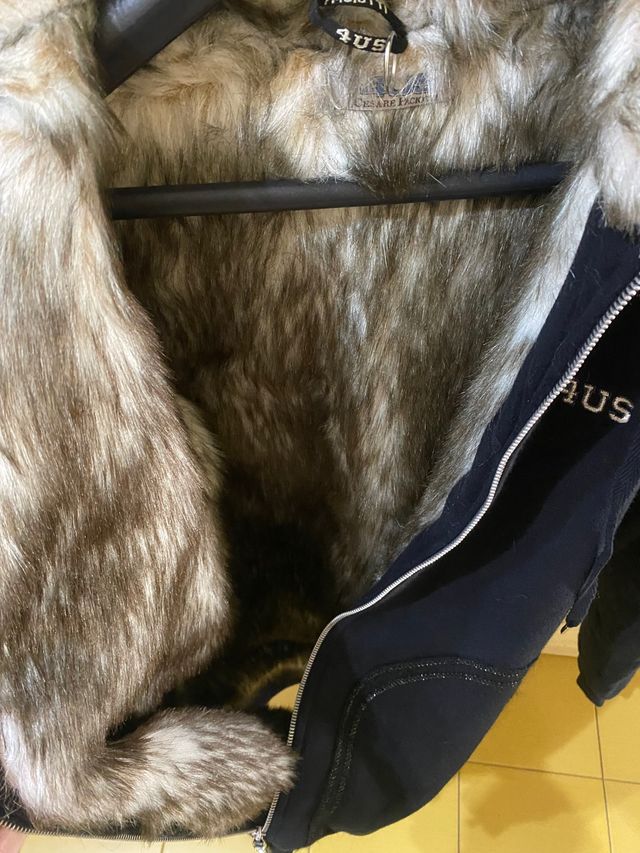 Felpa Cesare Paciotti