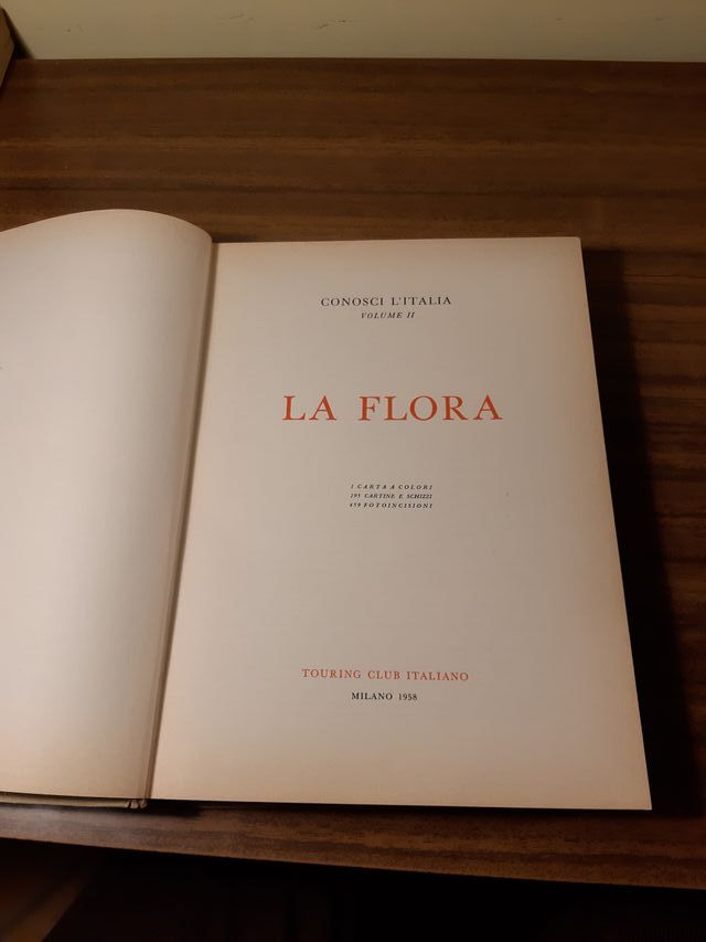 enciclopedia conosci l'italia