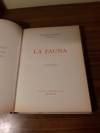 enciclopedia conosci l'italia