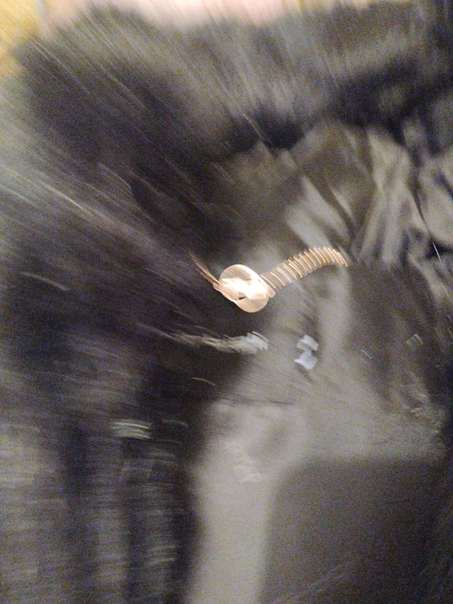 gilet pelliccia nero