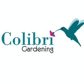 Instalador césped artificial y jardinero en Málaga