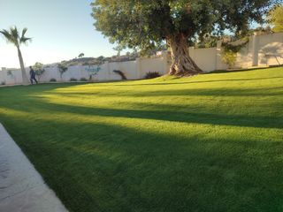 Instalador césped artificial y jardinero en Málaga