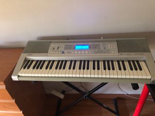 Teclado Casio CTK-810