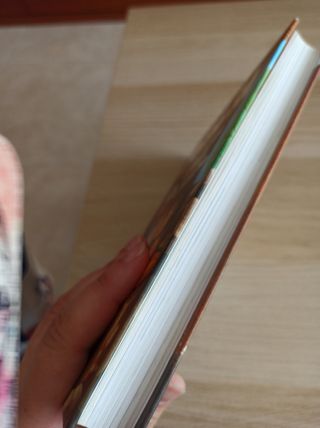 Llibre Cosins SA L'enigma del pont del Naranjo