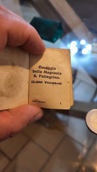 micro dizionario vintge