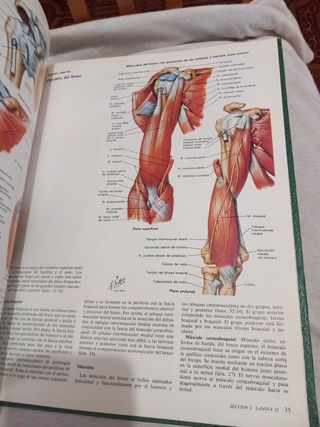 Colección Ciba de ilustraciones médicas tomo VIII