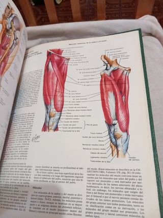 Colección Ciba de ilustraciones médicas tomo VIII