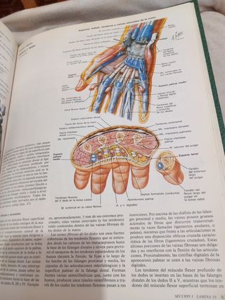 Colección Ciba de ilustraciones médicas tomo VIII