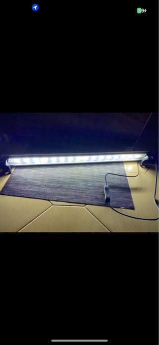 Luz led acuario