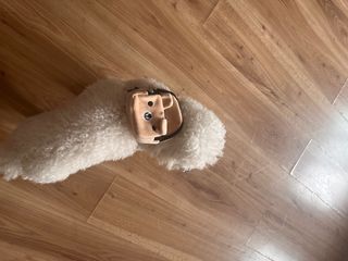 Arnes con Mochila para perritos