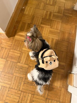 Arnes con Mochila para perritos