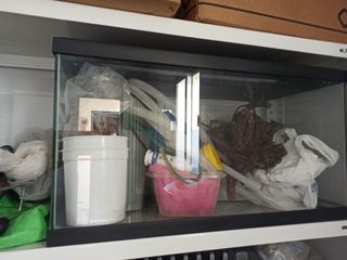 Acuario 60L con muchos complementos