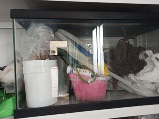 Acuario 60L con muchos complementos