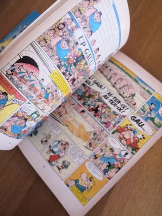 libro asterix
