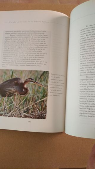 un año en la vida de la España salvaje