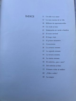 Un niño va a nacer