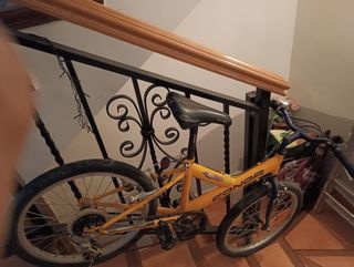 Bicicleta