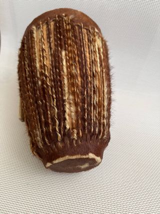 Tambor, africano, auténtico