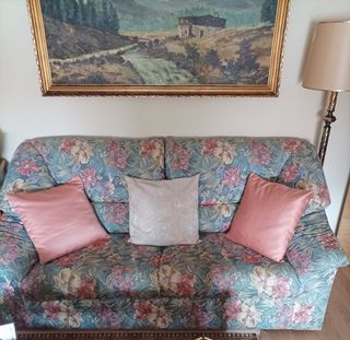 Tresillo Sofá cama tres plazas - Urge vender