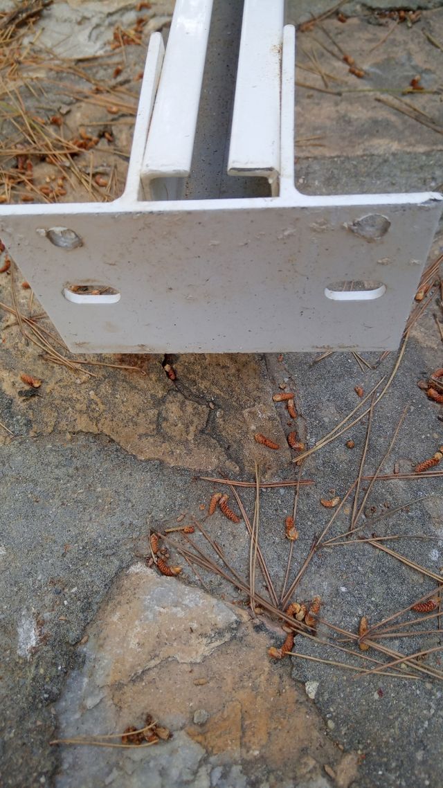 Toldo para techo corredizo