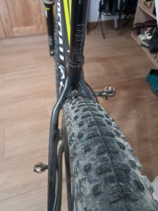 Bicicleta Specialized Carbono